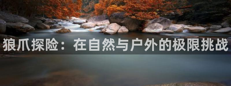 利记官网app下载网址日博官网网址