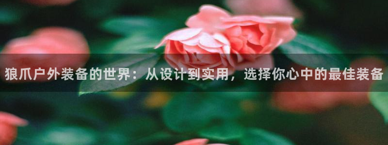 利记app官网入口