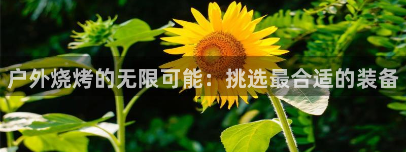 利记官网加盟