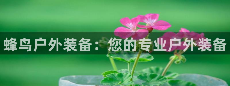 利记官网app下载