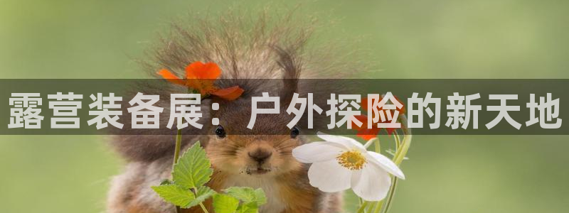 利记手机官网入口