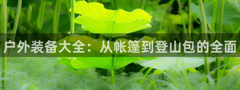 sbo利记体育官网