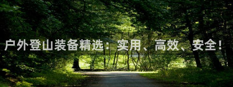 香港利记集团官网旗舰店