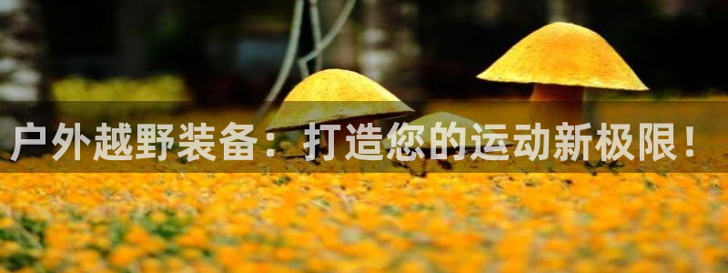 利记彩票网网址官网hd71