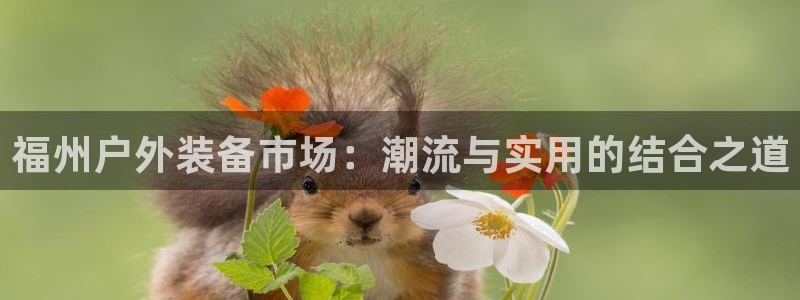 万利记加盟官网电话