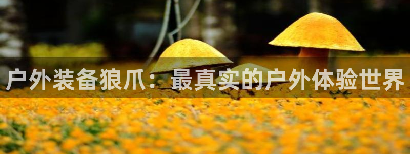 利记国际线址官网