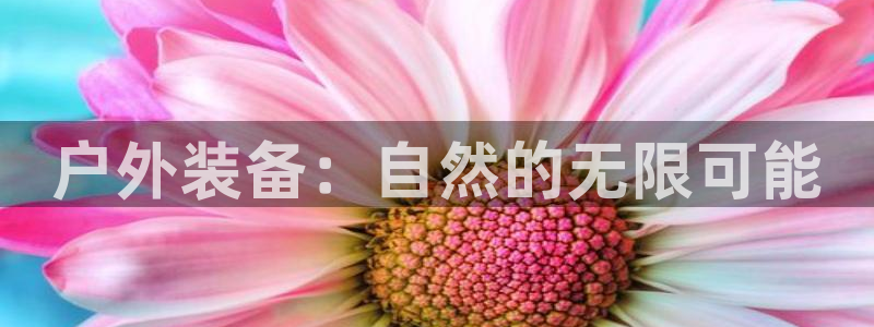 利记娱乐会员金钻官网