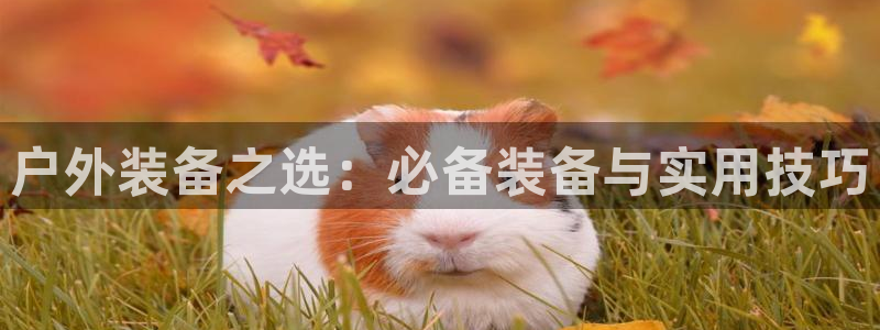 188bet注册利记官网app