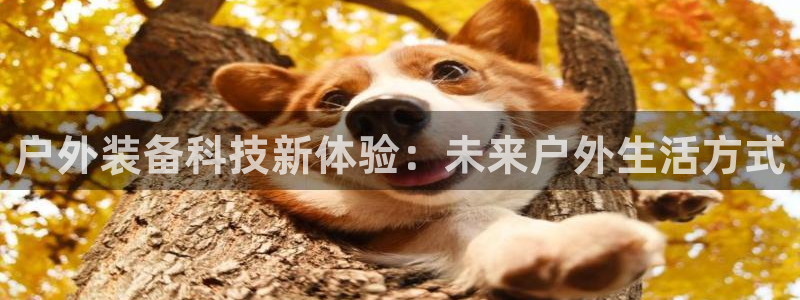 利记厨具官网客服电话