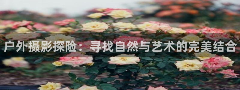 利记广告联盟官网