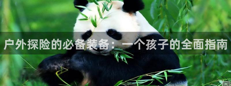 利记官网登录入口