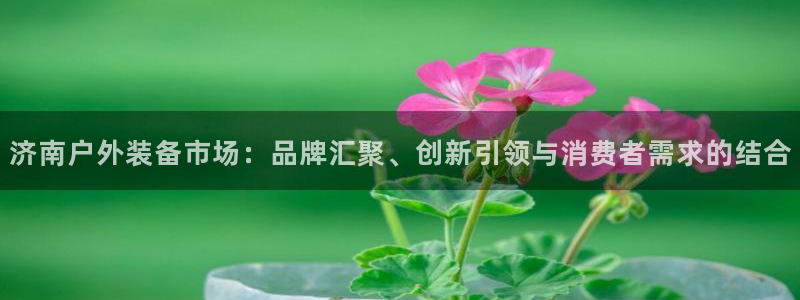 利记体育手机版官网