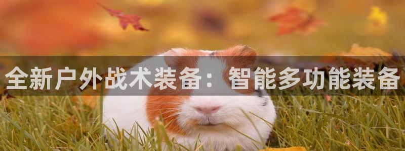 利记真正的官网是多少