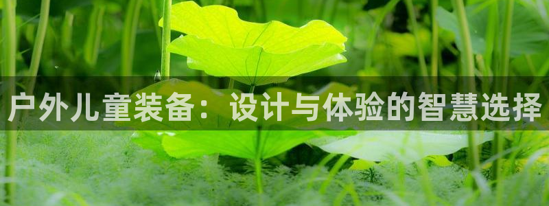 利记官网是真的吗