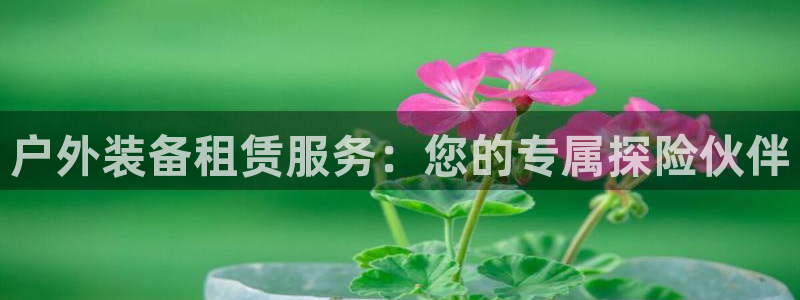 利记国际线址官网