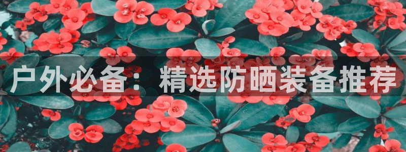 利记国际有限公司官网