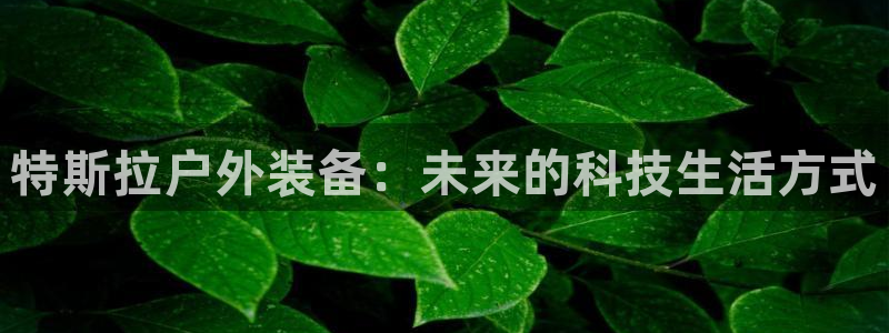 利记sbobet官网电脑版