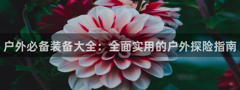 澳门大利来记官网