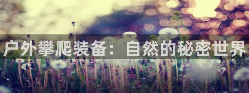 利记官网是什么