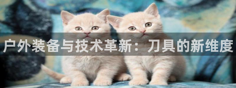 利记科技有限公司官网