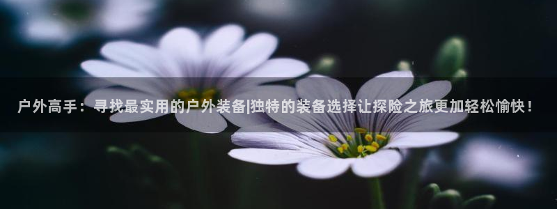 利记娱乐网官网