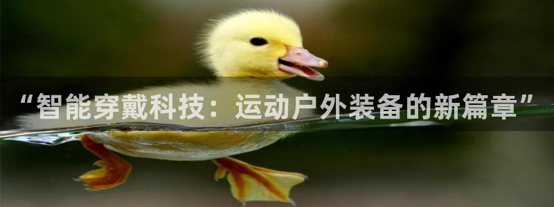 利记彩票平台官网