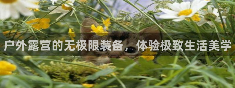 利记官网注册网