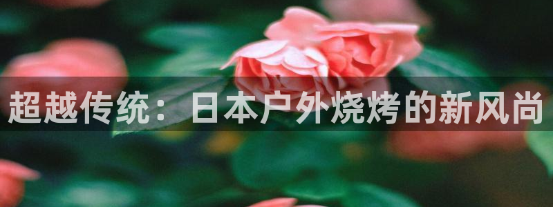 sbo利记体育官网