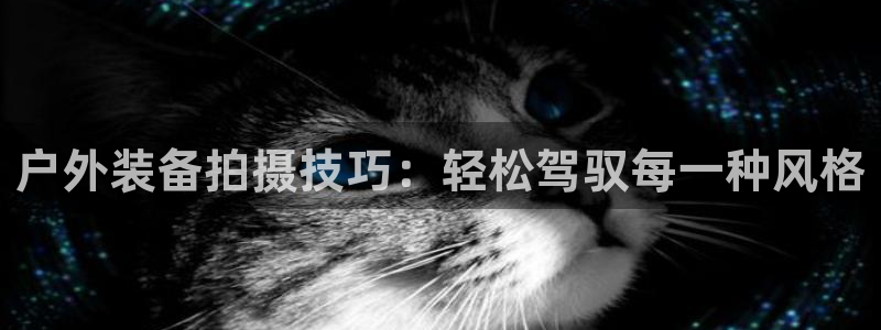 利记官网是真的吗