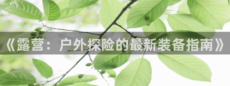 利记官网官方网址